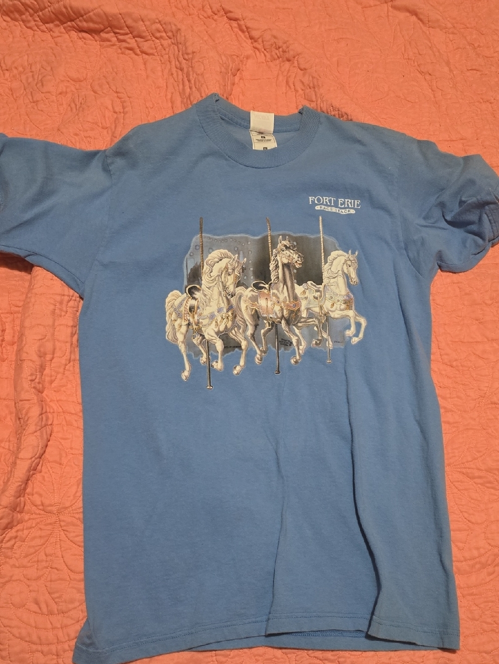 Fruit of the Loom Light Blue Graphic T‑Shirt with Carousel Print